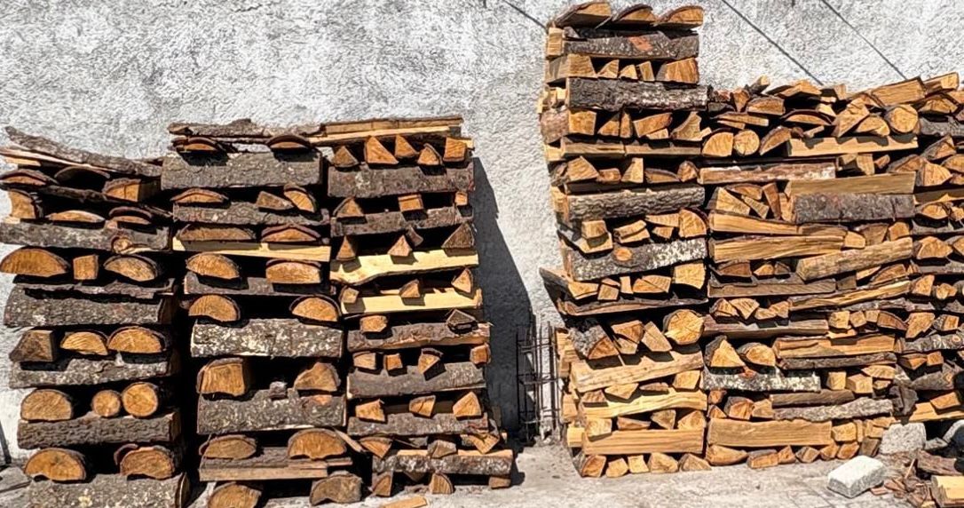 FGR ejecuta orden de cateo en materia ambiental en San Pablo del Monte